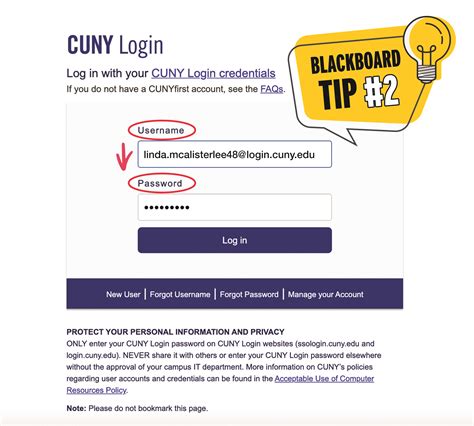 cuny blackboard login